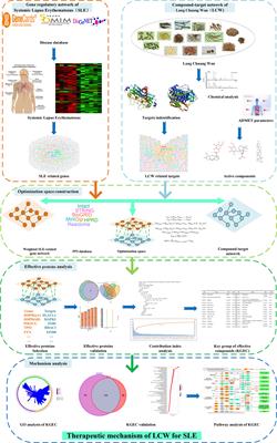 A Novel Network Pharmacology Strategy to Decode Mechanism of Lang Chuang Wan in Treating Systemic Lupus Erythematosus